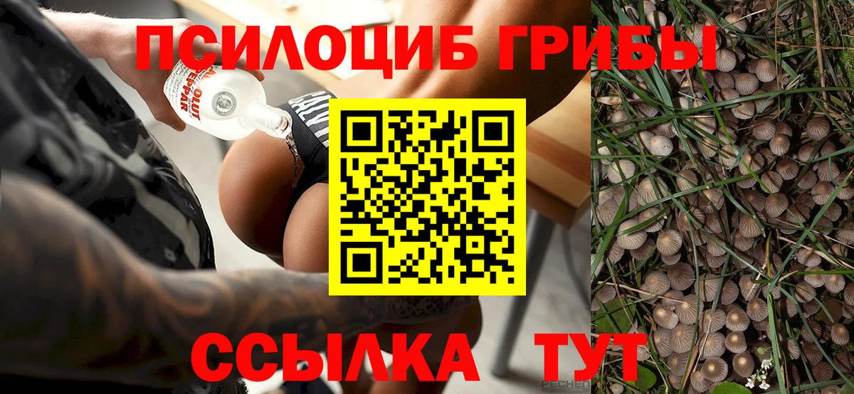 Галлюциногенные грибы MAGIC MUSHROOMS  Вход с VPN  Кумертау 